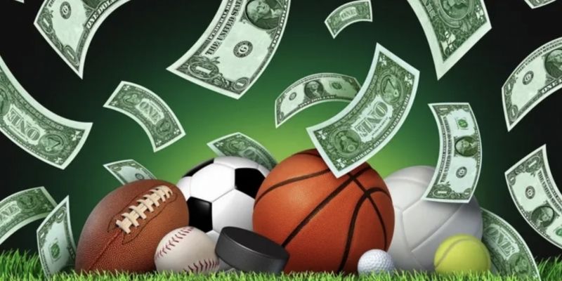 Đa dạng môn thể thao để tham gia